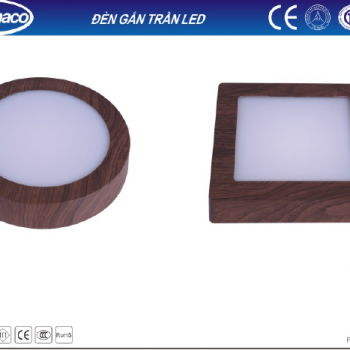 Đèn đường 300w nlmt ip67 viti smart