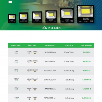 Đèn đường 300w nlmt ip67 viti smart